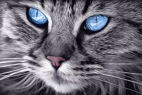 Diamond painting kit Blue-Eyed Cat WD2517