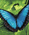 Diamond painting kit Blue Morpho WD055 - Hobby.lt 🇬🇧