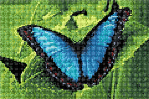 Diamond painting kit Blue Morpho WD055 - Hobby.lt 🇬🇧