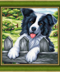 Diamond Painting Kit Border Collie AZ - 1609 25_25cm - Hobby.lt 🇬🇧