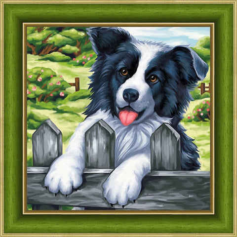 Diamond Painting Kit Border Collie AZ - 1609 25_25cm - Hobby.lt 🇬🇧