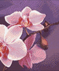 Diamond painting kit Branch of Orchids WD038 - Hobby.lt 🇬🇧