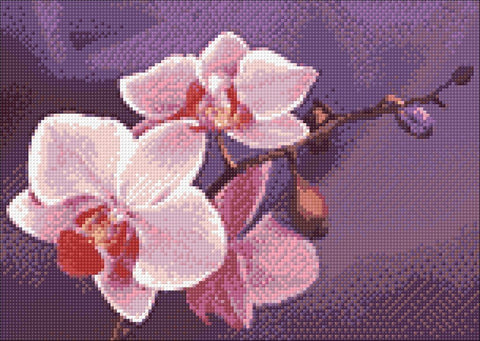 Diamond painting kit Branch of Orchids WD038 - Hobby.lt 🇬🇧