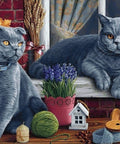 Diamond painting kit British Shorthair Cats WD2483 - Hobby.lt 🇬🇧