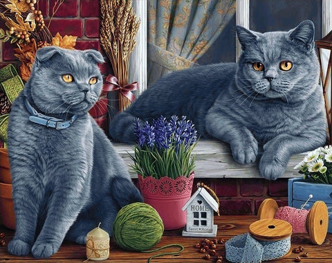 Diamond painting kit British Shorthair Cats WD2483 - Hobby.lt 🇬🇧