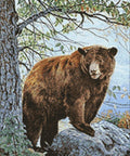 Diamond painting kit Brown Bear WD083 - Hobby.lt 🇬🇧