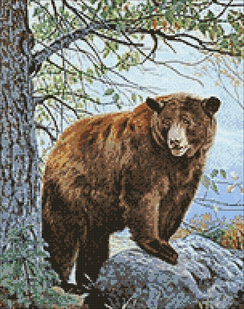 Diamond painting kit Brown Bear WD083 - Hobby.lt 🇬🇧