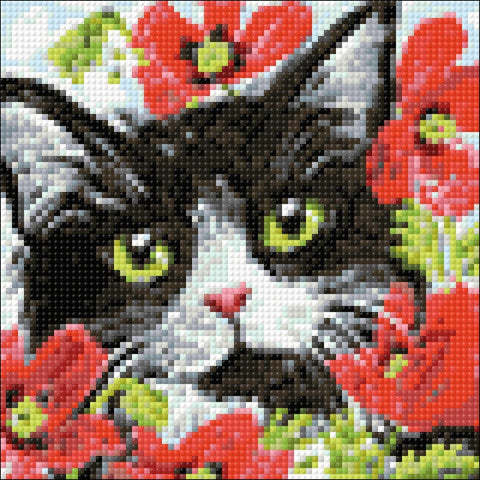 Diamond painting kit Cat in Flowers WD292