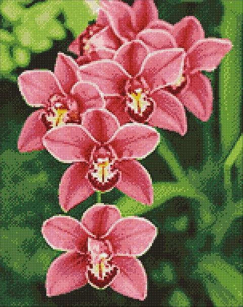 Diamond painting kit Cimbidium WD033 - Hobby.lt 🇬🇧