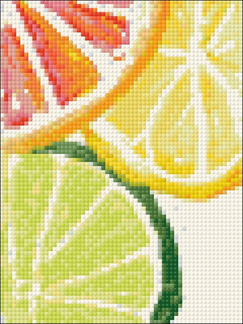 Diamond painting kit Citrus Fresh WD281 - Hobby.lt 🇬🇧