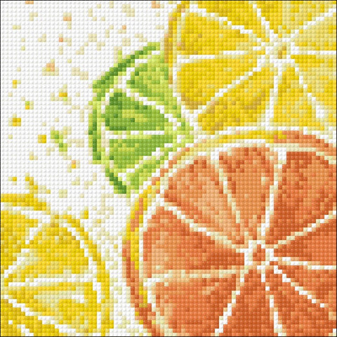 Diamond painting kit Citrus Mix WD289 - Hobby.lt 🇬🇧