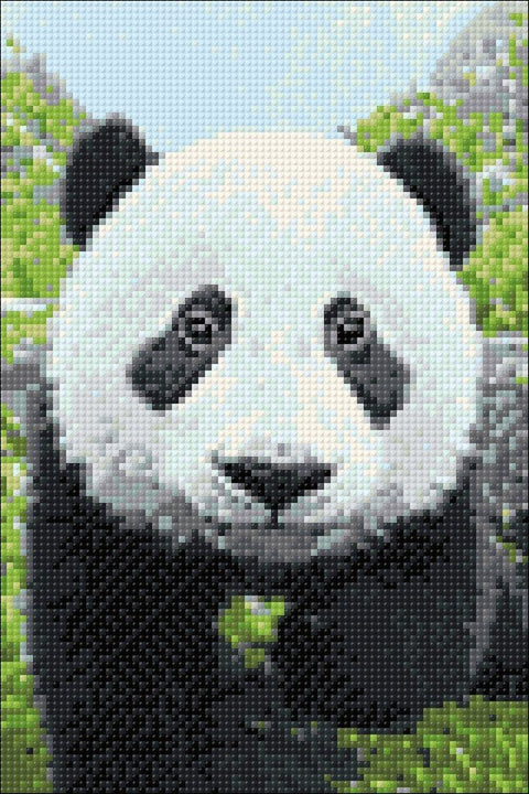 Diamond painting kit Curious Panda WD074 - Hobby.lt 🇬🇧