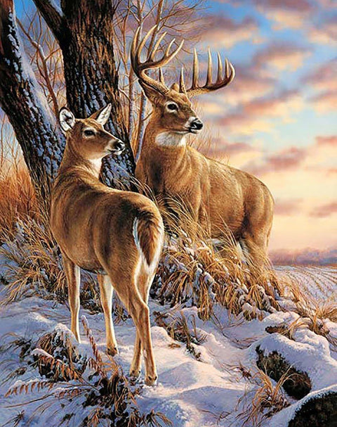 Diamond painting kit Deer in Winter WD085 - Hobby.lt 🇬🇧