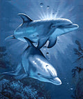 Diamond painting kit Dolphins' Dating WD222 - Hobby.lt 🇬🇧