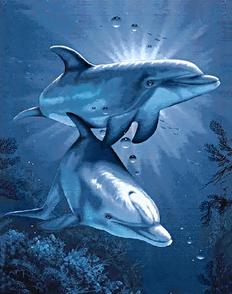 Diamond painting kit Dolphins' Dating WD222 - Hobby.lt 🇬🇧