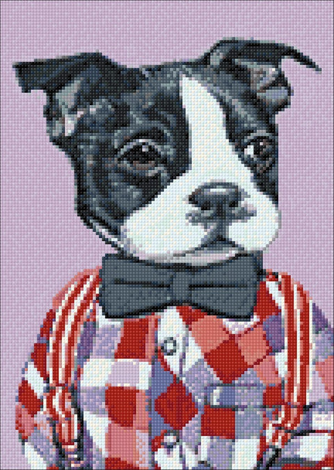 Diamond painting kit English Bulldog WD191