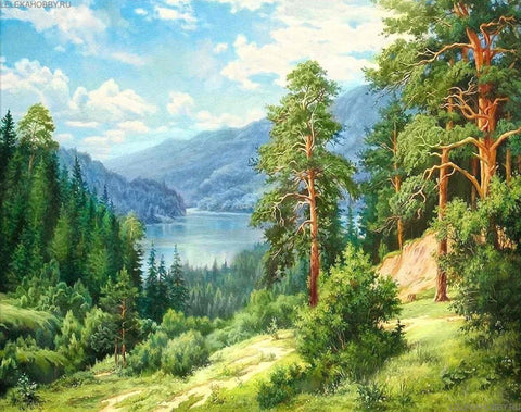 Diamond Painting Kit Fjord AZ - 1684 50x40cm - Hobby.lt 🇬🇧