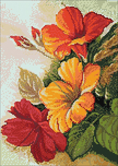 Diamond painting kit Flower Boom WD017 - Hobby.lt 🇬🇧