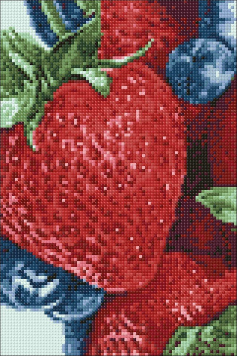 Diamond painting kit Fresh Berries WD050 - Hobby.lt 🇬🇧