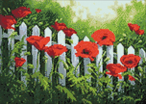 Diamond painting kit Garden Poppies WD008 - Hobby.lt 🇬🇧