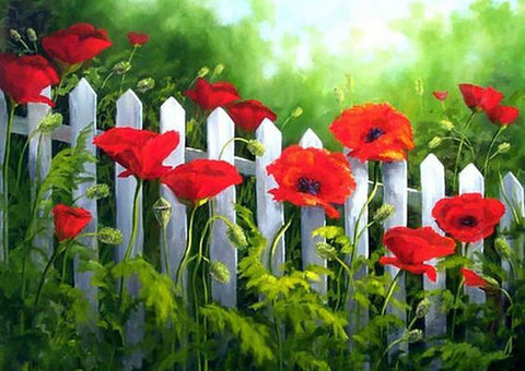 Diamond painting kit Garden Poppies WD008 - Hobby.lt 🇬🇧