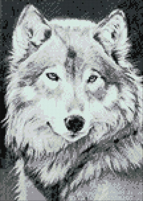 Diamond painting kit Grey Wolf WD086