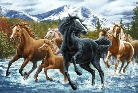 Diamond painting kit Horse Herd in the Mountains WD2499 - Hobby.lt 🇬🇧