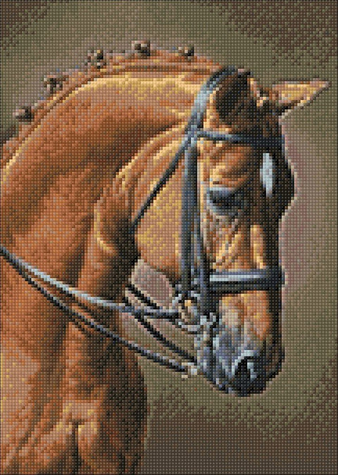 Diamond painting kit Horse Jumping WD256 - Hobby.lt 🇬🇧