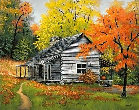 Diamond painting kit House in the Woods WD101 - Hobby.lt 🇬🇧