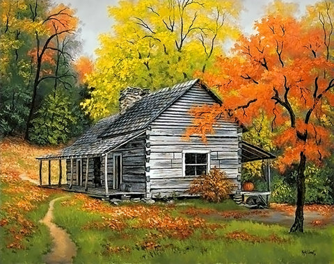 Diamond painting kit House in the Woods WD101