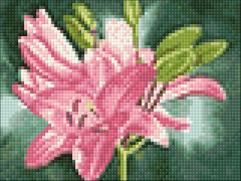 Diamond painting kit Lilly WD298