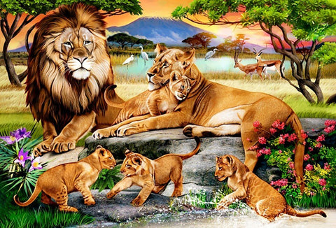 Diamond painting kit Lion Family WD2507 - Hobby.lt 🇬🇧