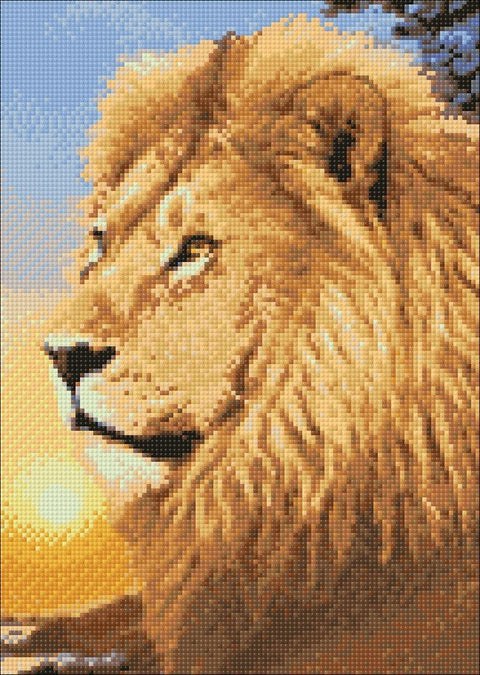 Diamond painting kit Lion King WD070 - Hobby.lt 🇬🇧