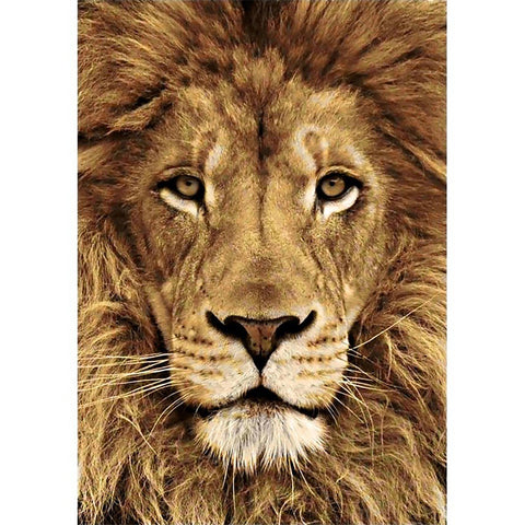 Diamond painting kit Lion WD068 - Hobby.lt 🇬🇧