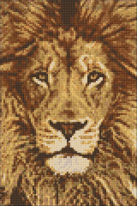 Diamond painting kit Lion WD068 - Hobby.lt 🇬🇧