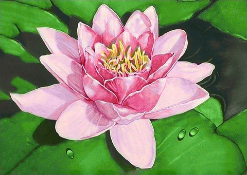 Diamond painting kit Lotus on the Lake WD032 - Hobby.lt 🇬🇧