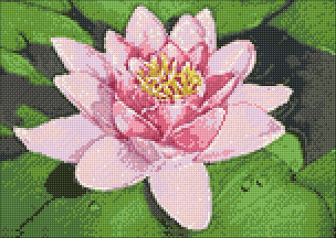 Diamond painting kit Lotus on the Lake WD032 - Hobby.lt 🇬🇧