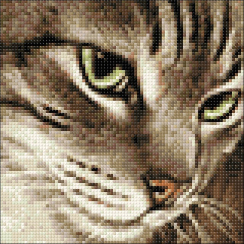 Diamond painting kit Mysterious Cat WD282 - Hobby.lt 🇬🇧