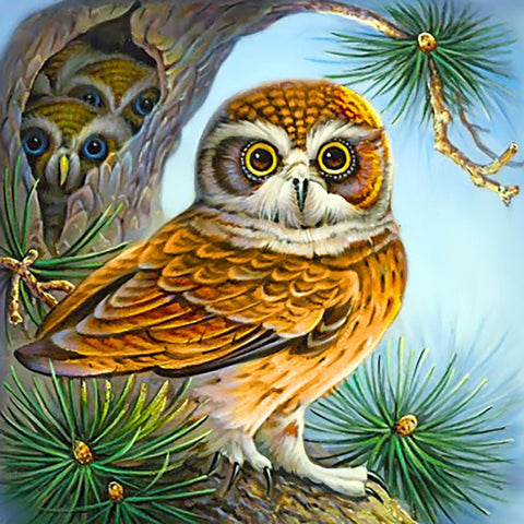 Diamond painting kit Owl and Owlets WD2494 - Hobby.lt 🇬🇧