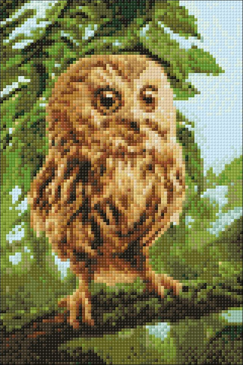 Diamond painting kit Owl Mickie WD246 - Hobby.lt 🇬🇧