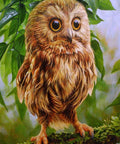 Diamond painting kit Owl Mickie WD246 - Hobby.lt 🇬🇧