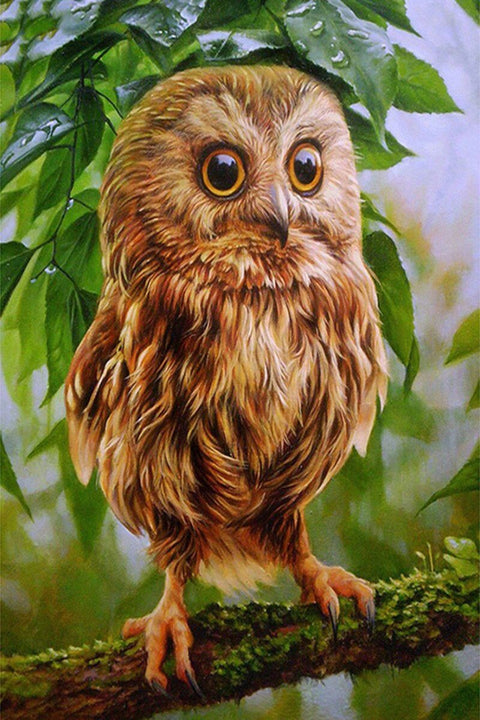 Diamond painting kit Owl Mickie WD246 - Hobby.lt 🇬🇧