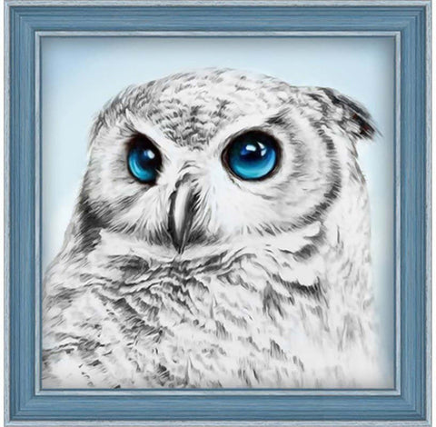 Diamond Painting Kit Owl Sight AZ - 1549 25_25cm - Hobby.lt 🇬🇧