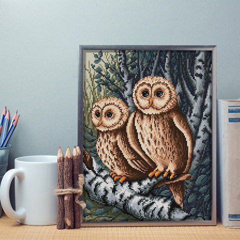 Diamond Painting Kit Owls AZ-1644 30_40cm