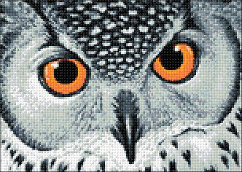 Diamond painting kit Owl's Look WD243 - Hobby.lt 🇬🇧