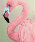 Diamond painting kit Pink Flamingo WD232 - Hobby.lt 🇬🇧