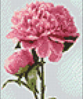 Diamond painting kit Pink Peony WD276 - Hobby.lt 🇬🇧