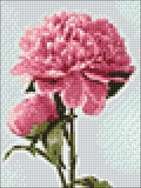 Diamond painting kit Pink Peony WD276 - Hobby.lt 🇬🇧