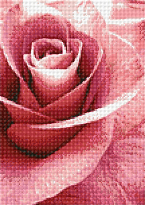 Diamond painting kit Pink Rose WD019 - Hobby.lt 🇬🇧