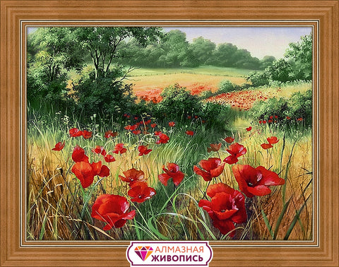 Diamond Painting Kit Poppies in the Field AZ-1682 40x30cm